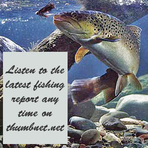 Fishing Report